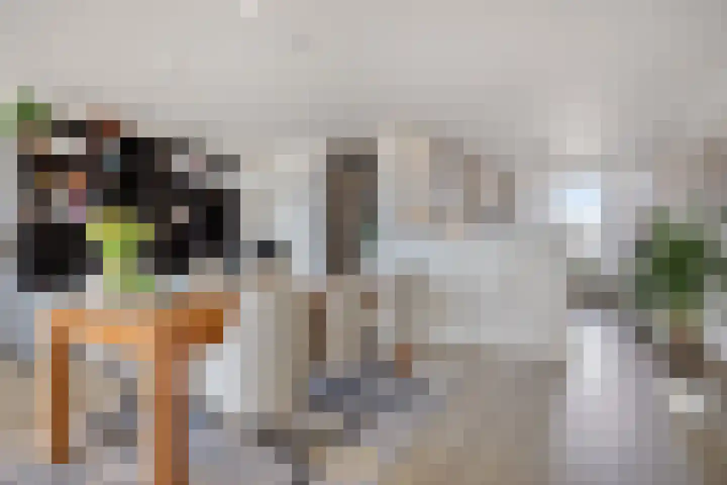 Paulus Potterstraat 22 Eindhoven thumbnail 25