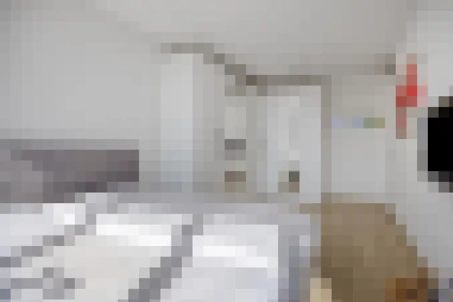 Paulus Potterstraat 22 Eindhoven thumbnail 40