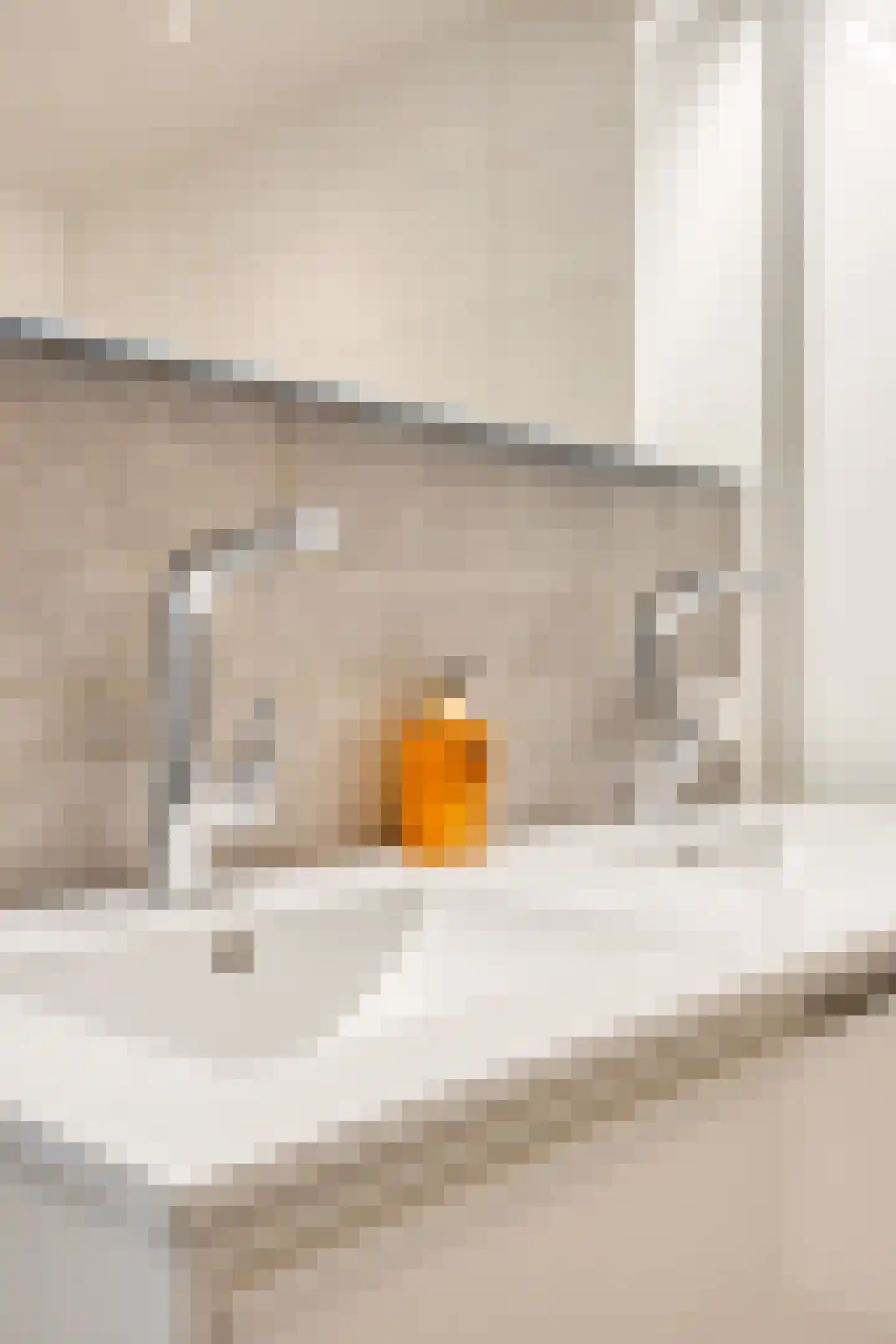Paulus Potterstraat 22 Eindhoven thumbnail 44