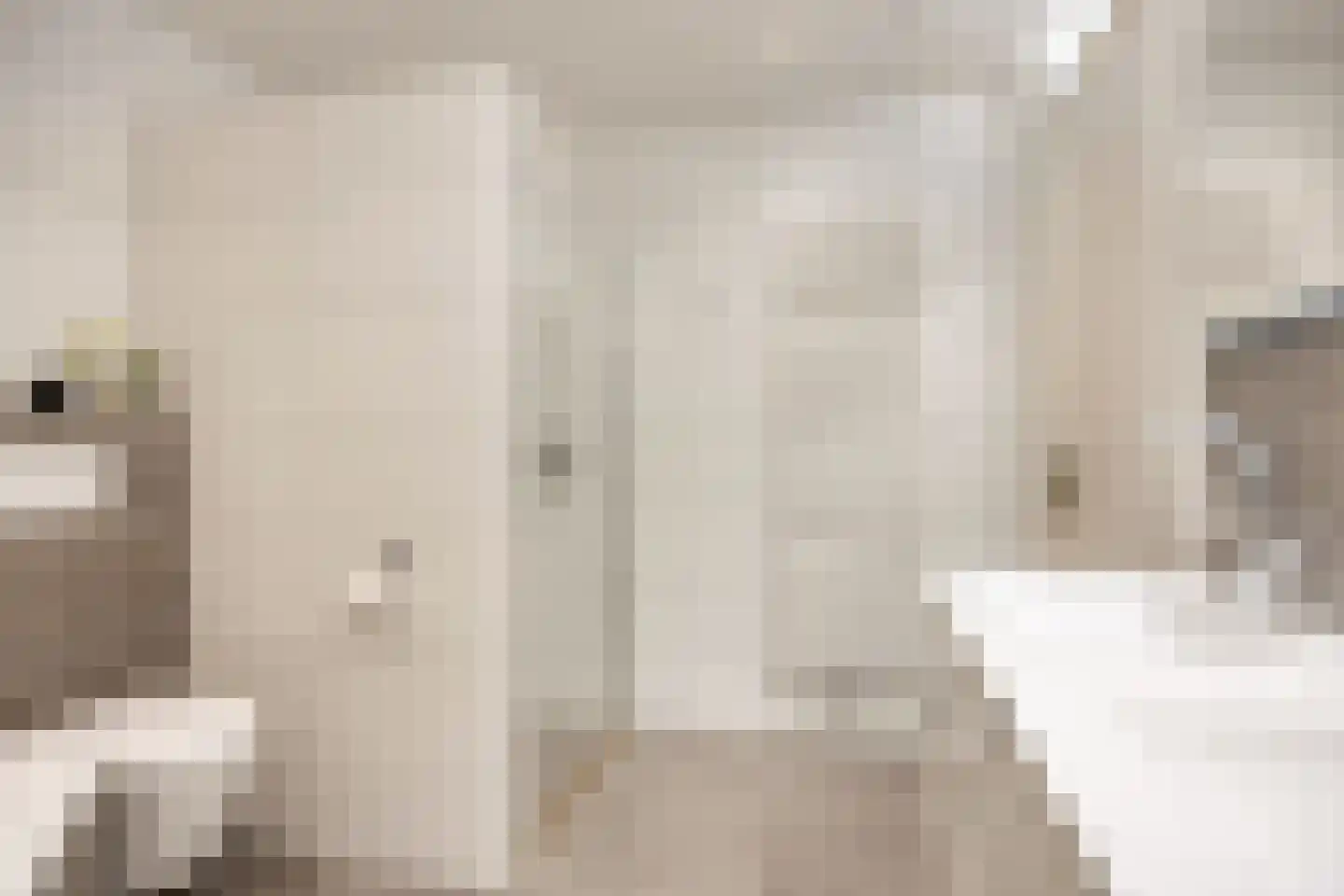 Paulus Potterstraat 22 Eindhoven thumbnail 47