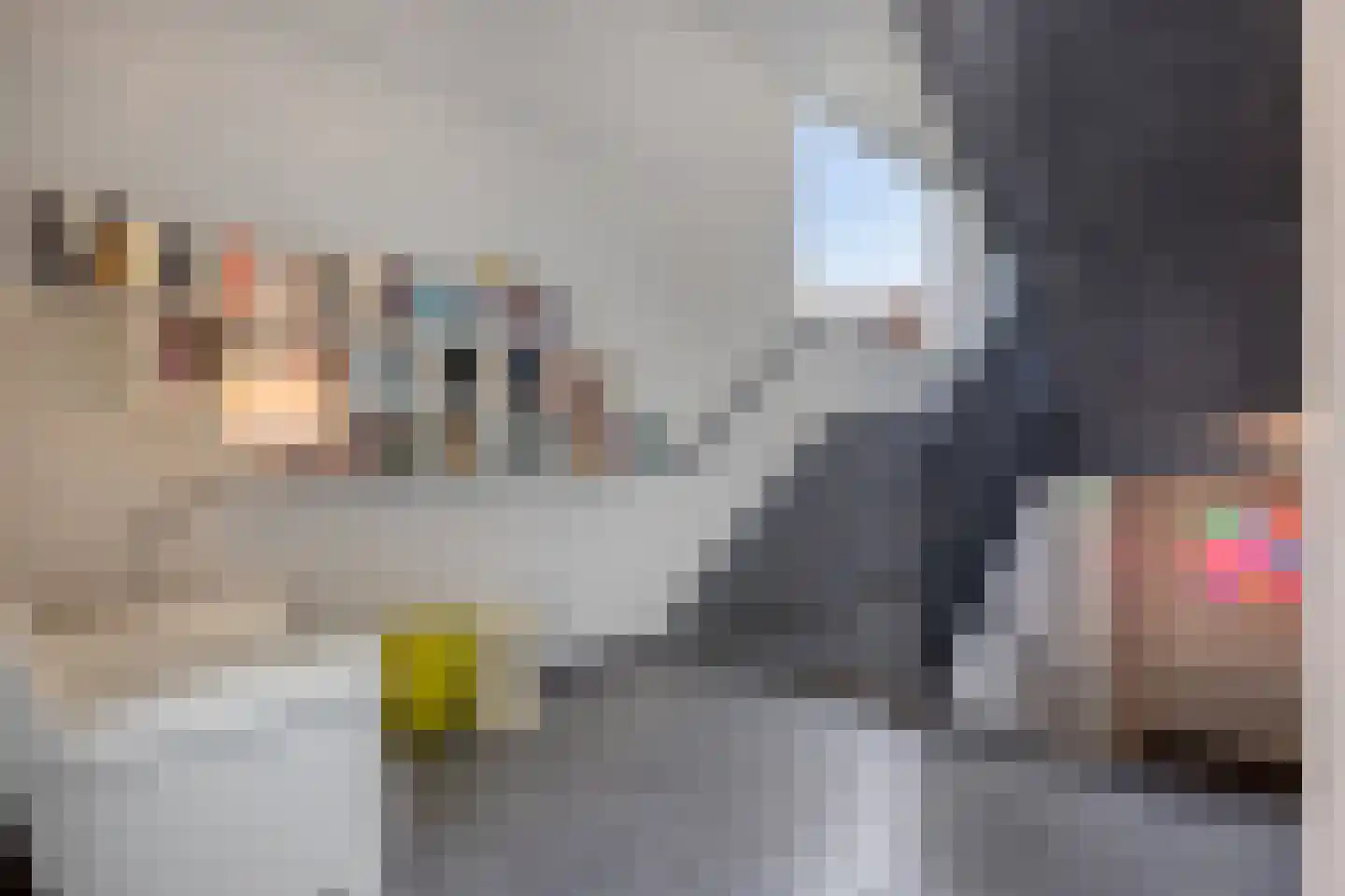 Paulus Potterstraat 22 Eindhoven thumbnail 7
