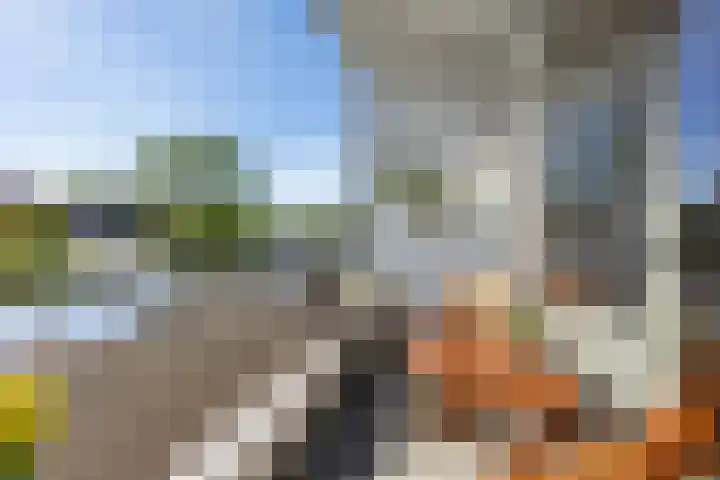 Paulus Potterstraat 22 Groningen thumbnail 16
