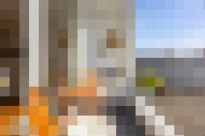 Paulus Potterstraat 22 Groningen thumbnail 17