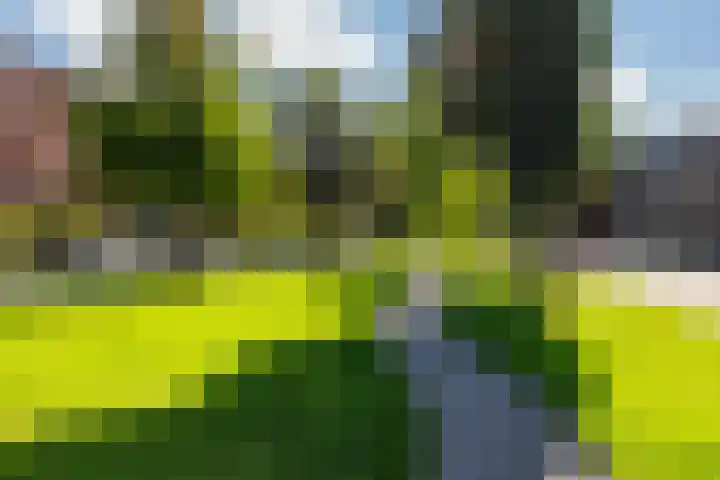 Paulus Potterstraat 22 Groningen thumbnail 33