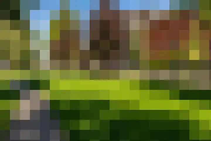 Paulus Potterstraat 22 Groningen thumbnail 34