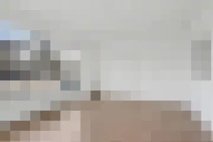 Paulus Potterstraat 23 Enschede thumbnail 11