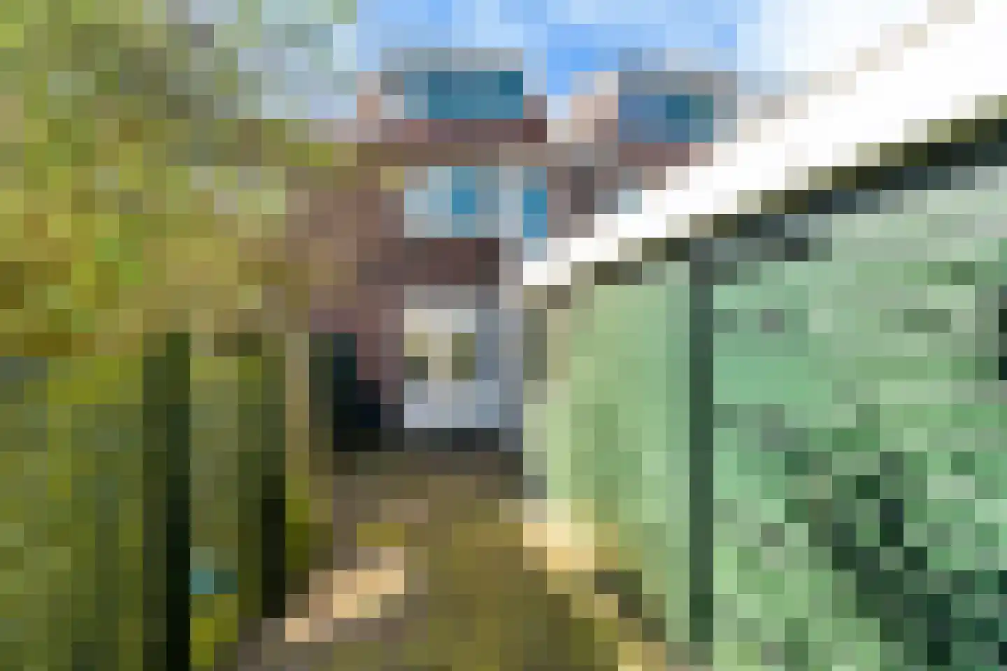 Paulus Potterstraat 23 Leeuwarden thumbnail 29