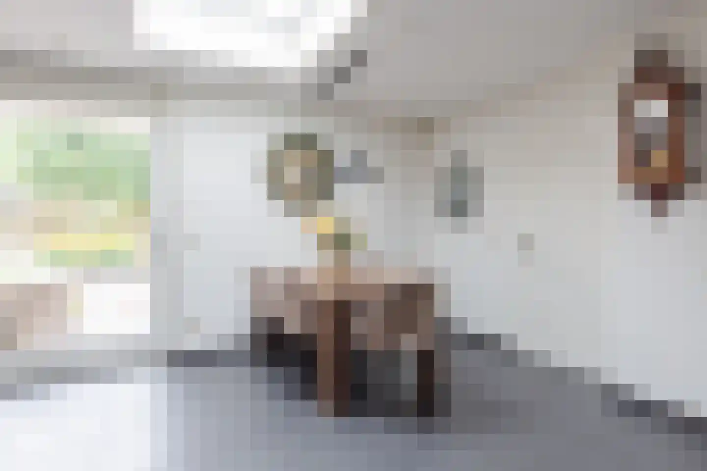 Paulus Potterstraat 23 Wolvega thumbnail 19