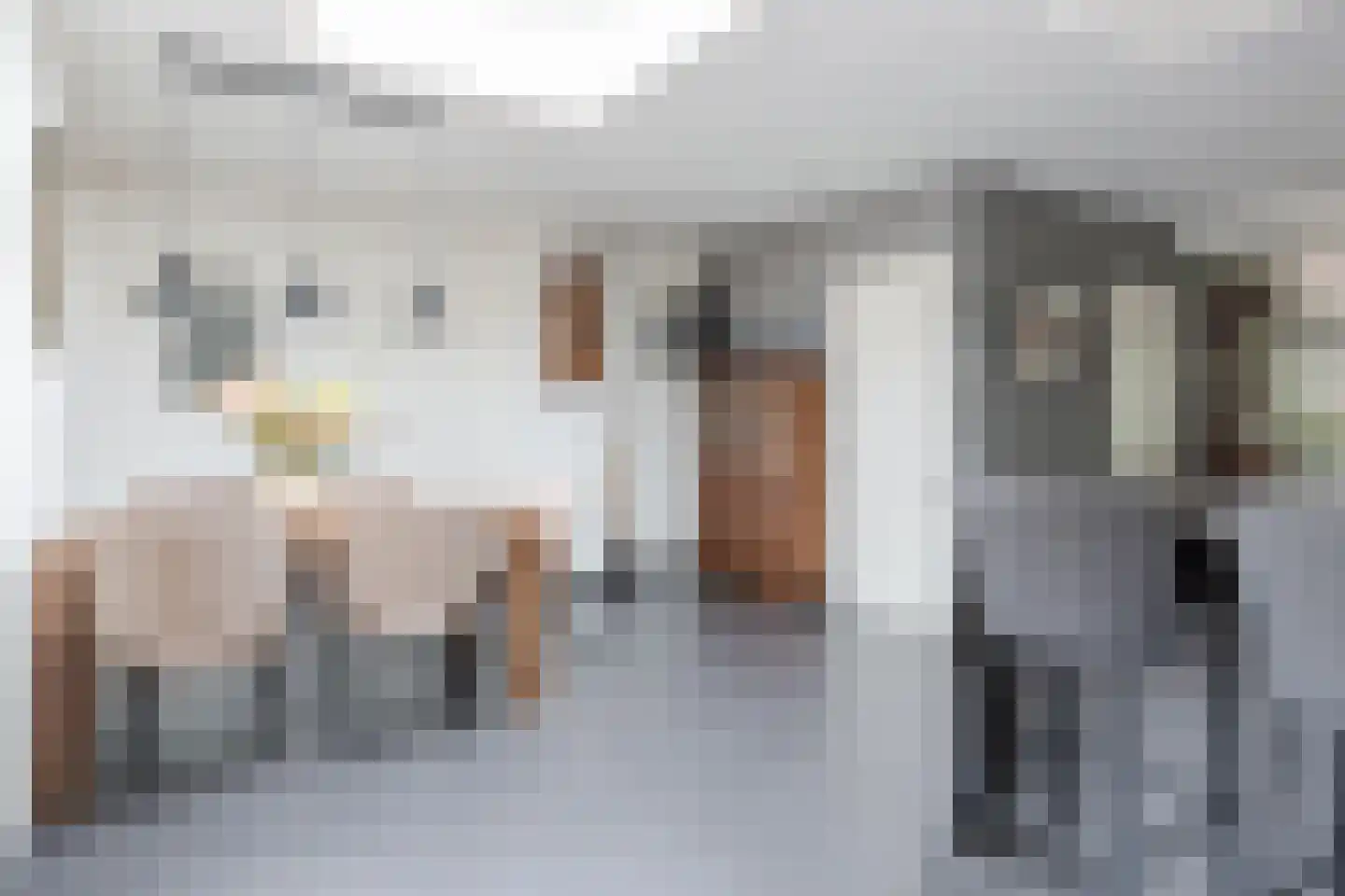 Paulus Potterstraat 23 Wolvega thumbnail 21