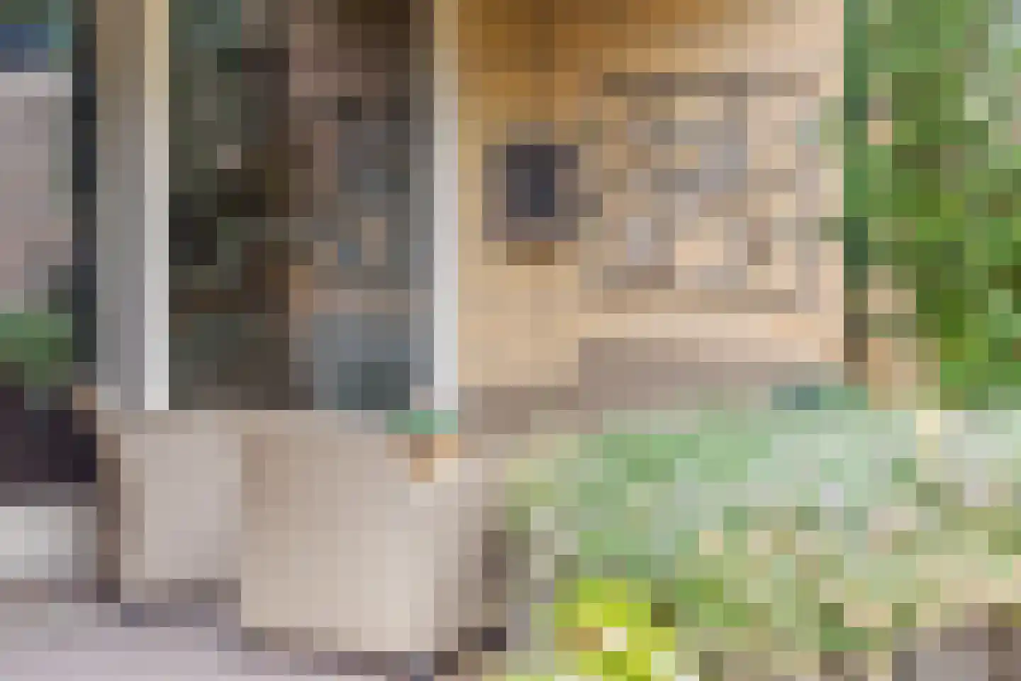 Paulus Potterstraat 23 Wolvega thumbnail 39