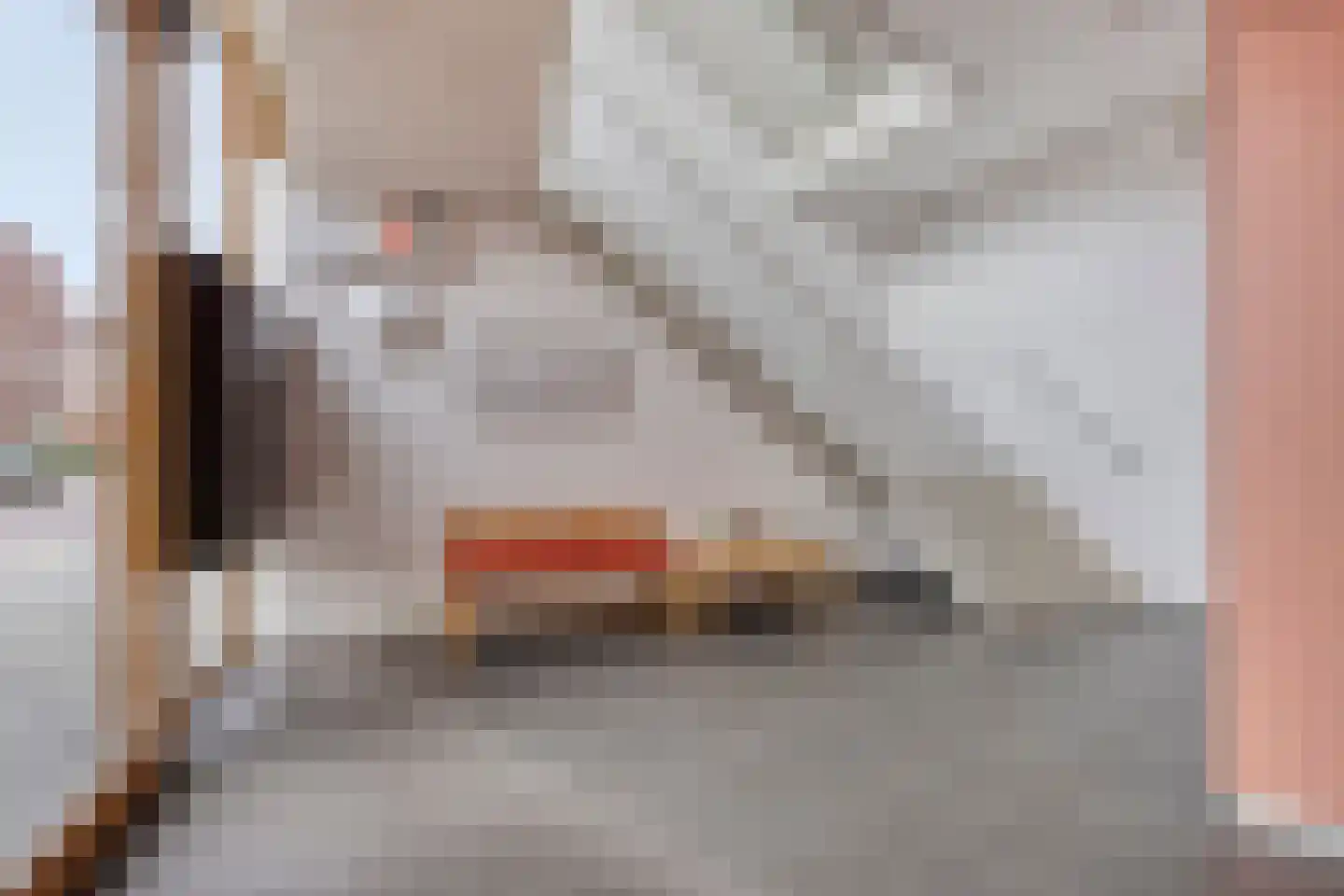 Paulus Potterstraat 25 Eindhoven thumbnail 13
