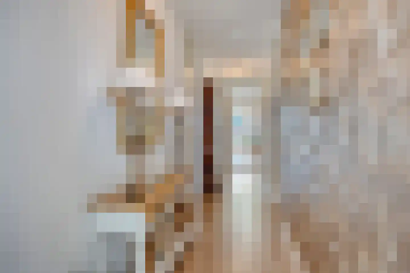 Paulus Potterstraat 25 Eindhoven thumbnail 17