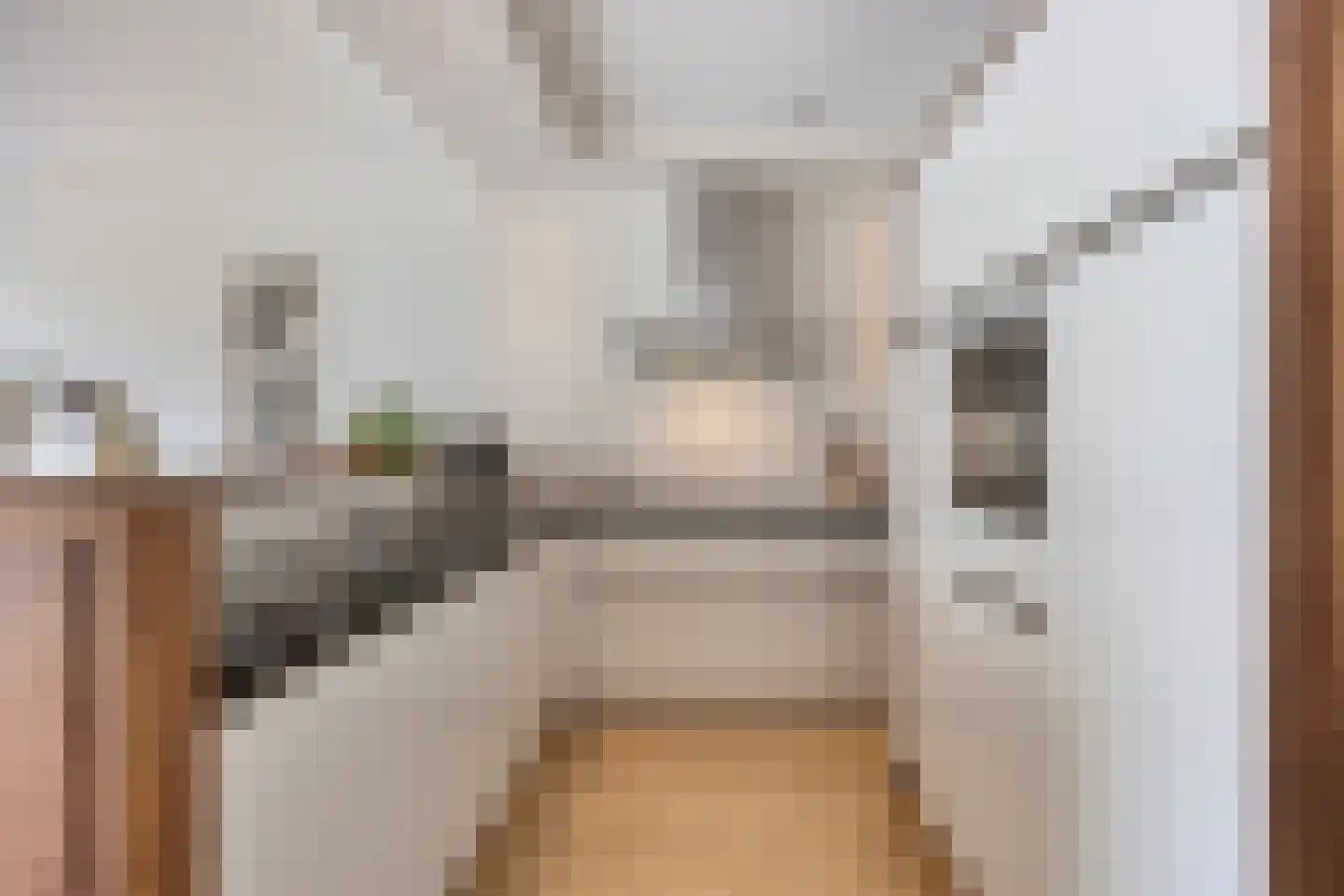 Paulus Potterstraat 25 Eindhoven thumbnail 25