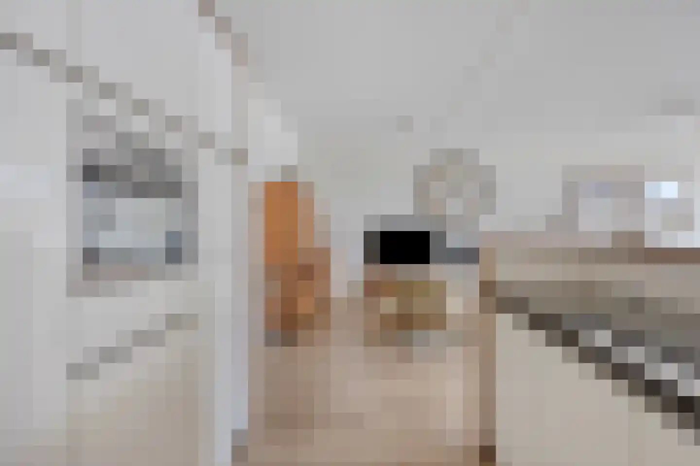 Paulus Potterstraat 25 Eindhoven thumbnail 28