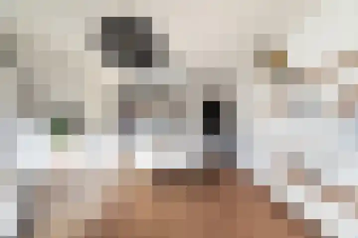 Paulus Potterstraat 3 Krimpen aan den IJssel thumbnail 12