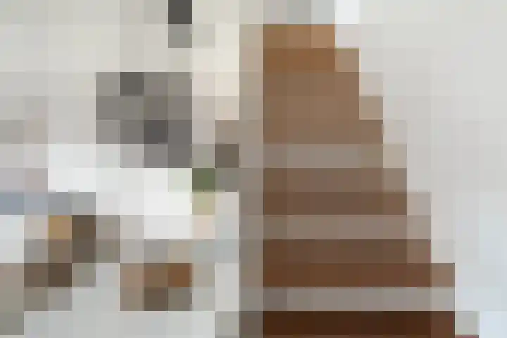 Paulus Potterstraat 3 Krimpen aan den IJssel thumbnail 22