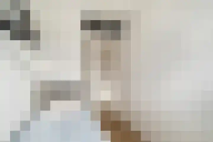 Paulus Potterstraat 3 Krimpen aan den IJssel thumbnail 30