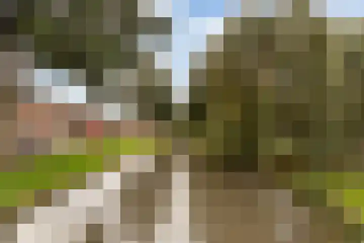 Paulus Potterstraat 3 Krimpen aan den IJssel thumbnail 35
