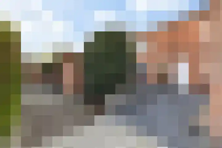 Paulus Potterstraat 3 Krimpen aan den IJssel thumbnail 37