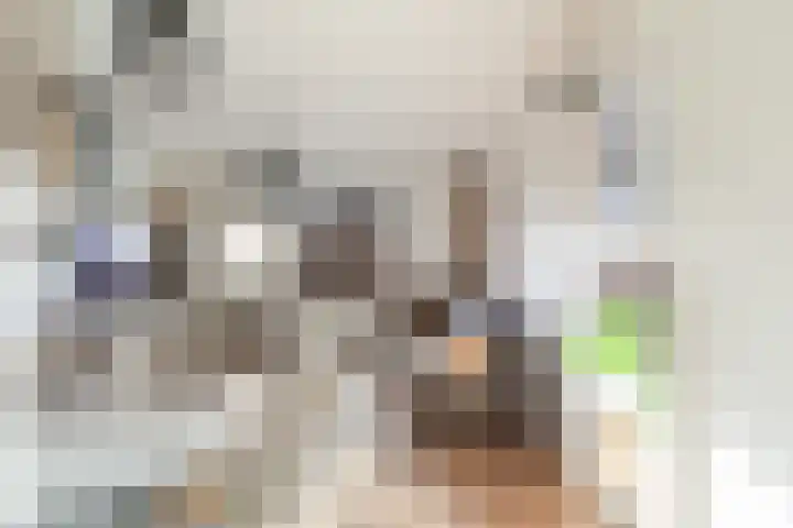 Paulus Potterstraat 3 Krimpen aan den IJssel thumbnail 4