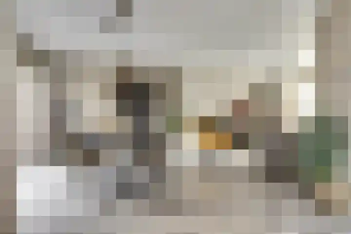 Paulus Potterstraat 3 Rucphen thumbnail 10