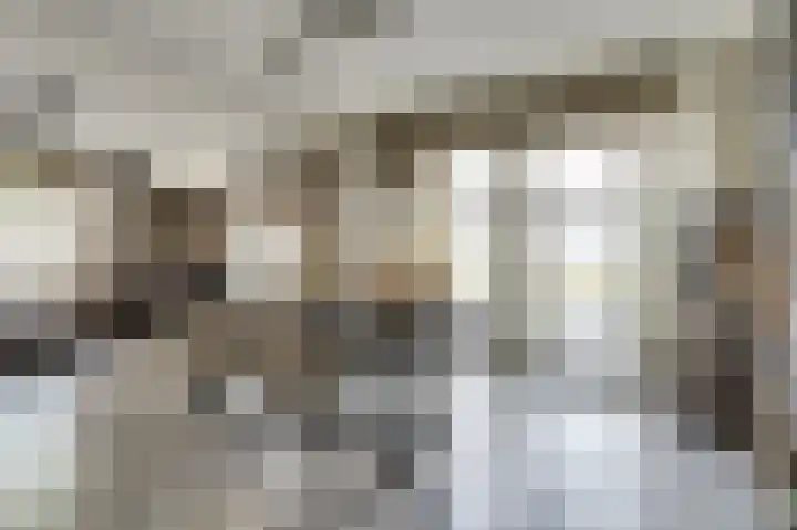 Paulus Potterstraat 3 Rucphen thumbnail 12