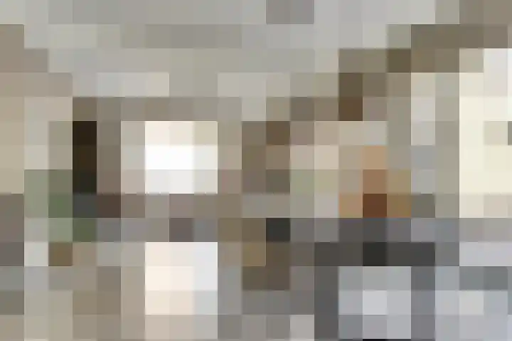 Paulus Potterstraat 3 Rucphen thumbnail 13