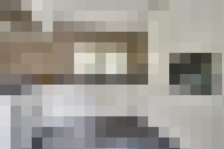 Paulus Potterstraat 3 Rucphen thumbnail 17