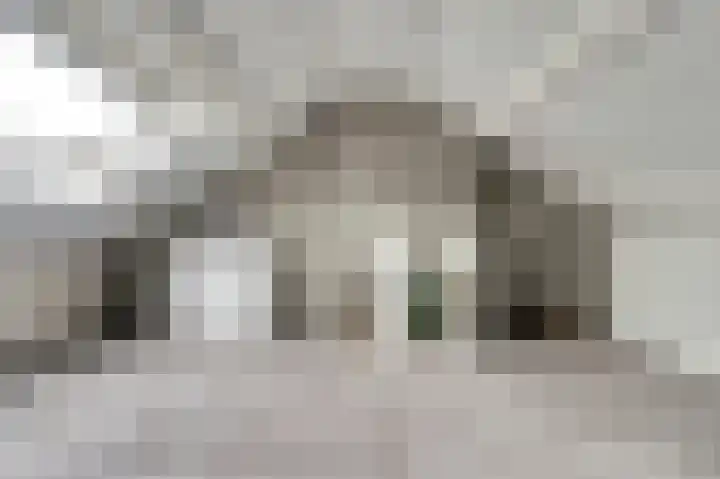 Paulus Potterstraat 3 Rucphen thumbnail 27