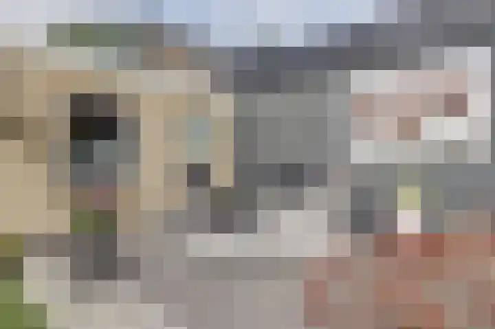 Paulus Potterstraat 3 Rucphen thumbnail 31