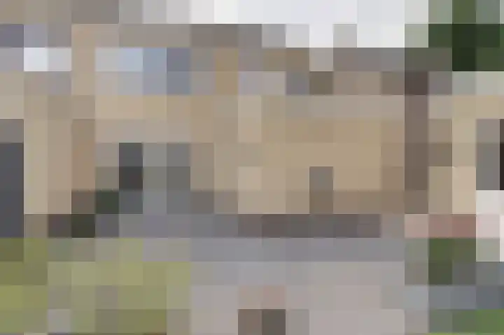 Paulus Potterstraat 3 Rucphen thumbnail 33