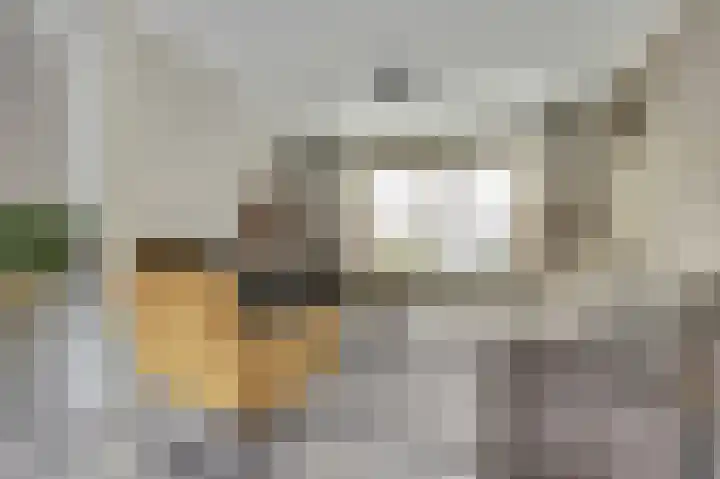 Paulus Potterstraat 3 Rucphen thumbnail 4