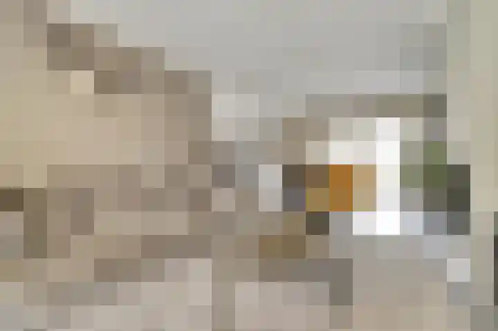 Paulus Potterstraat 3 Rucphen thumbnail 6
