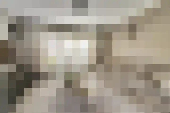 Paulus Potterstraat 3 Rucphen thumbnail 7