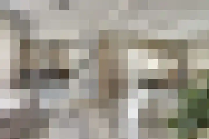 Paulus Potterstraat 3 Rucphen thumbnail 8