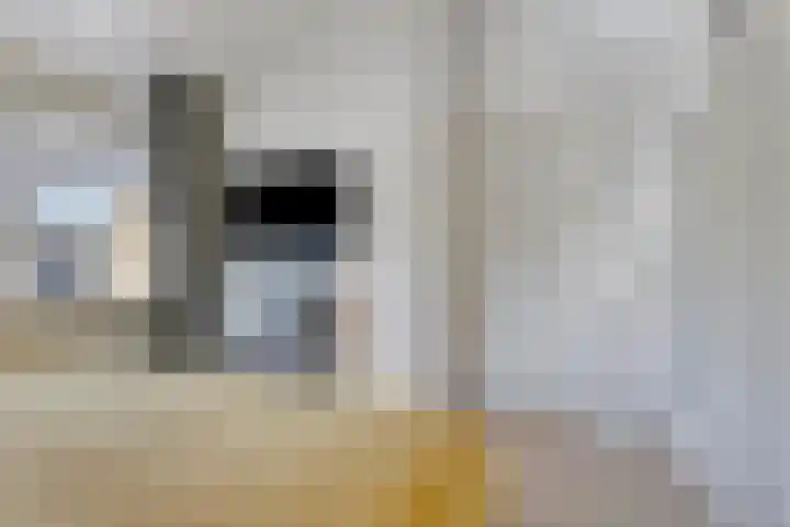 Paulus Potterstraat 30 Goor thumbnail 20