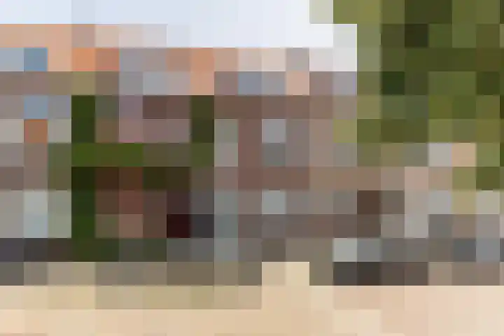 Paulus Potterstraat 30 Schiedam thumbnail 5
