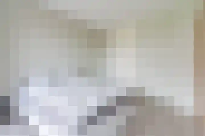 Paulus Potterstraat 31 Eindhoven thumbnail 14