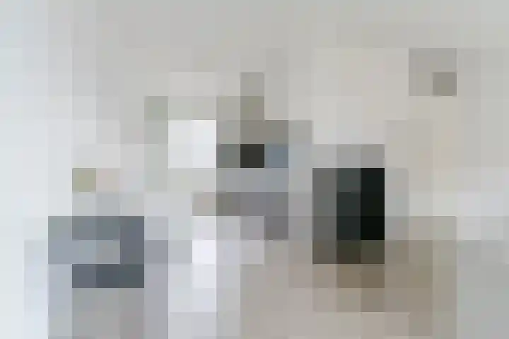 Paulus Potterstraat 31 Eindhoven thumbnail 9