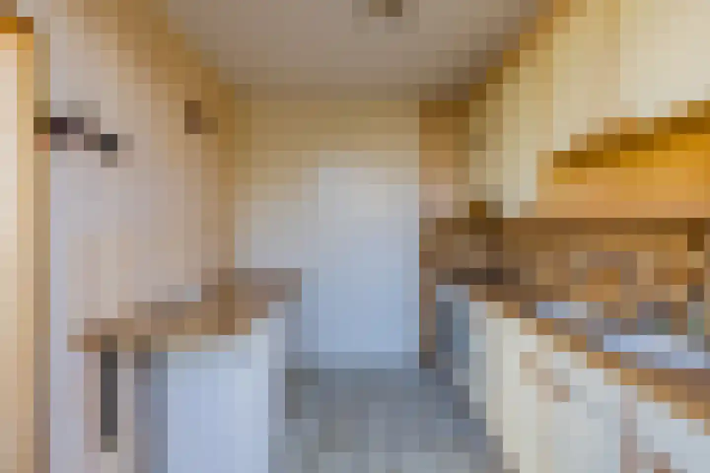Paulus Potterstraat 35 Lisse thumbnail 15