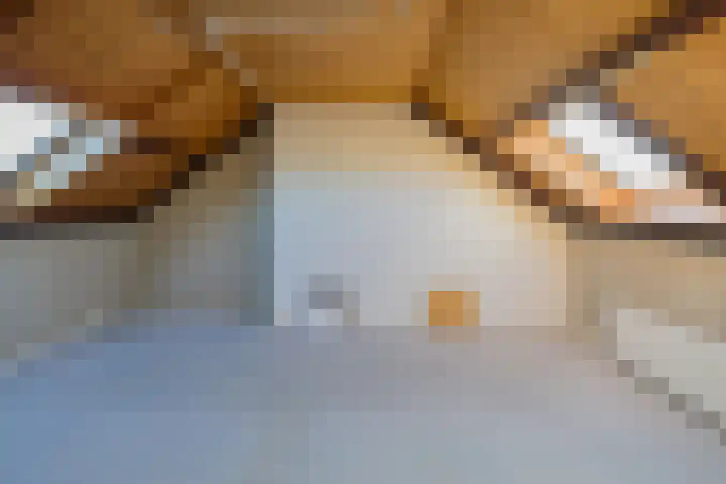 Paulus Potterstraat 35 Lisse thumbnail 33