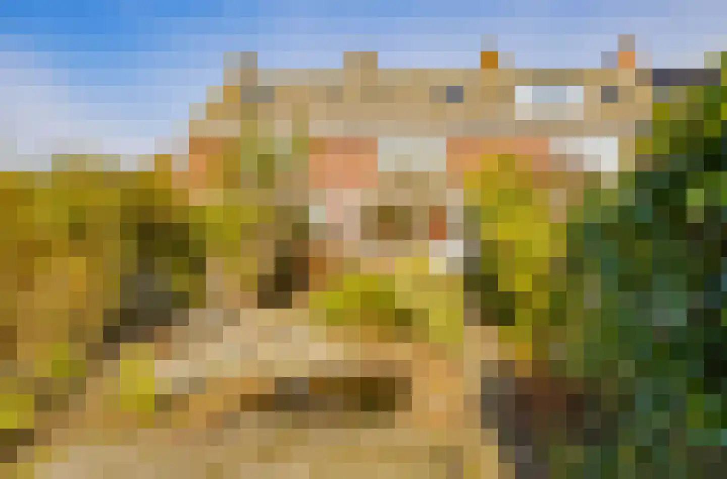 Paulus Potterstraat 35 Lisse thumbnail 37
