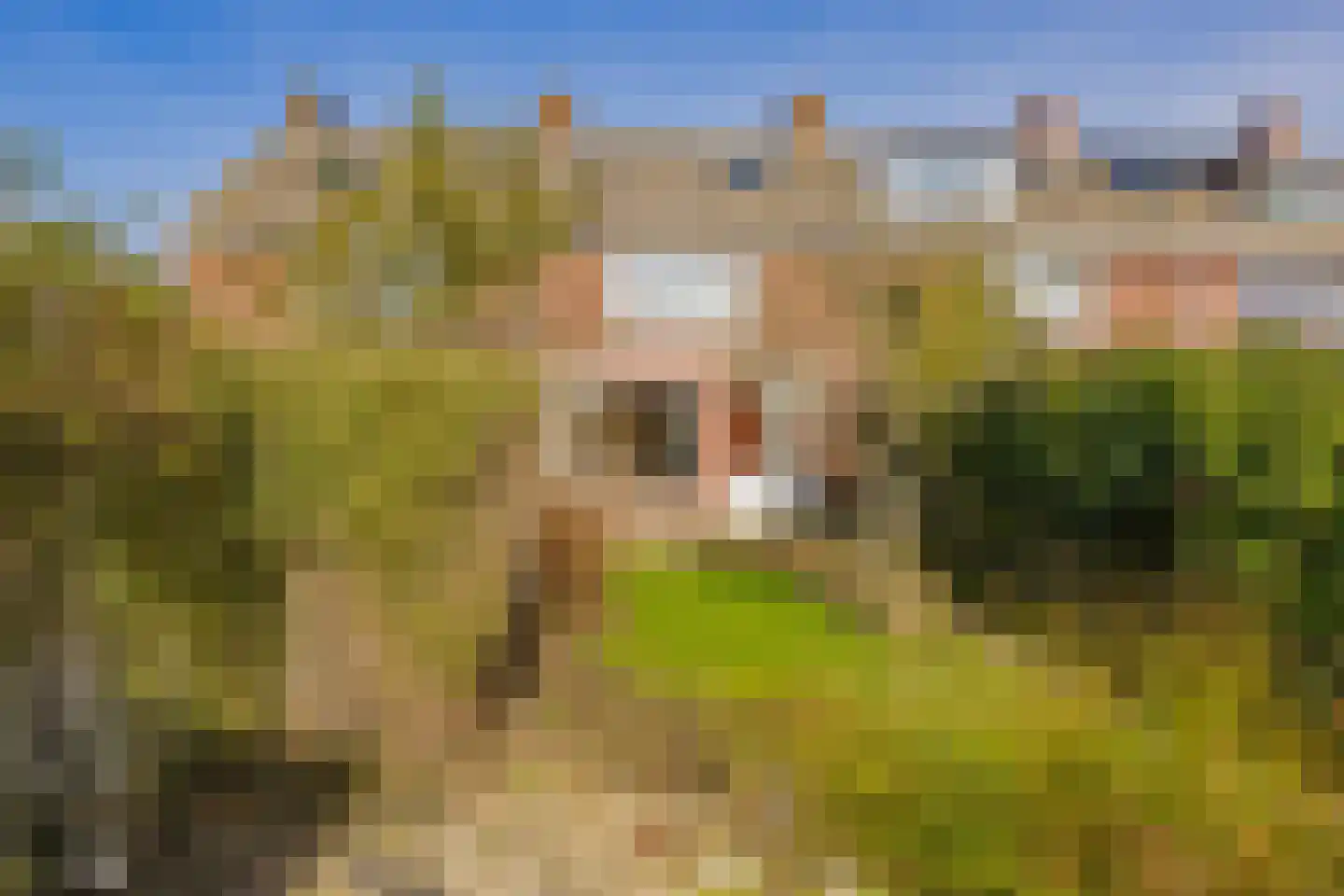 Paulus Potterstraat 35 Lisse thumbnail 38