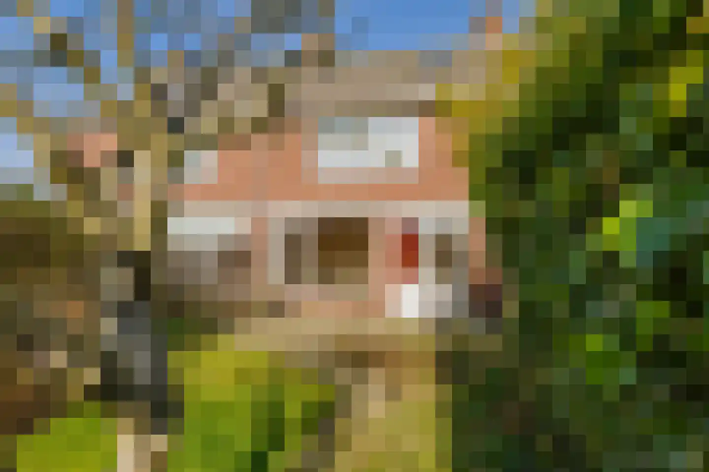 Paulus Potterstraat 35 Lisse thumbnail 39