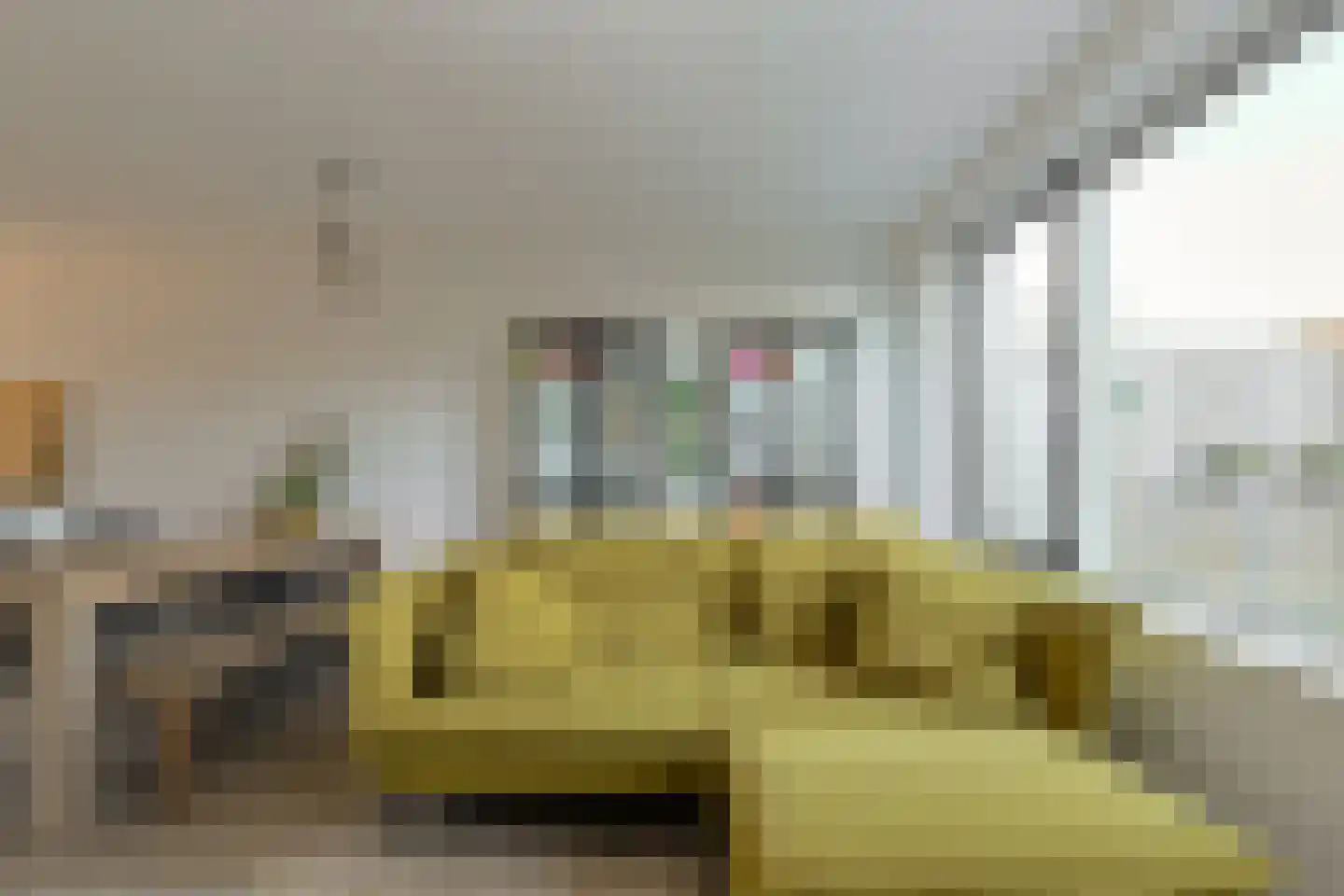 Paulus Potterstraat 38 Raamsdonksveer thumbnail 14