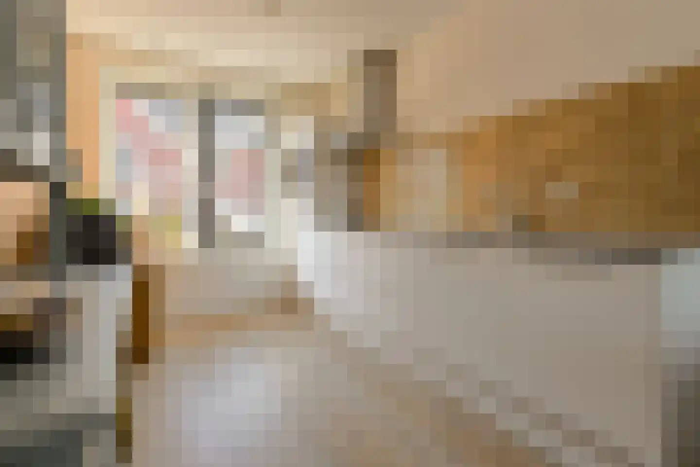 Paulus Potterstraat 38 Raamsdonksveer thumbnail 20