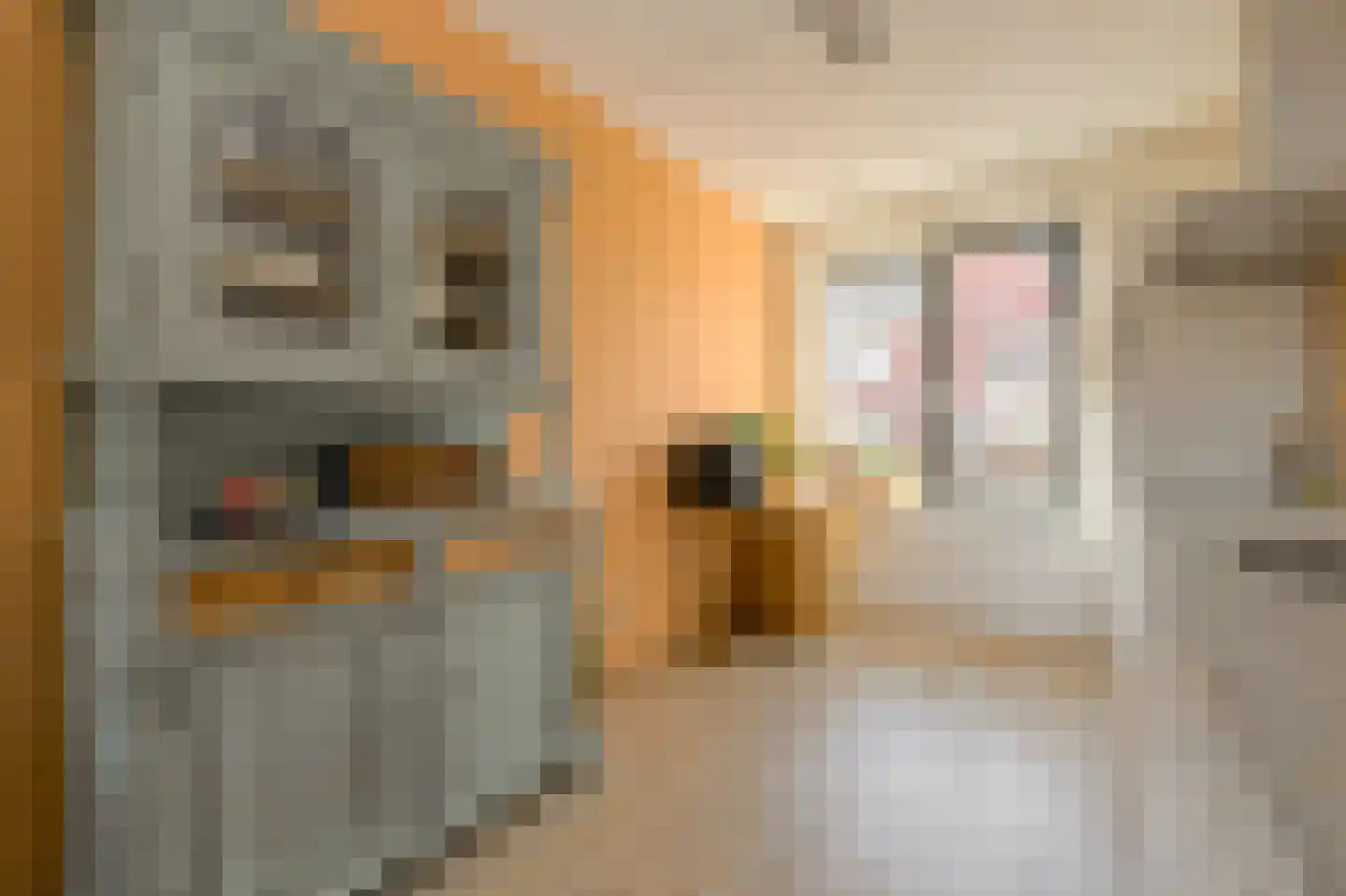 Paulus Potterstraat 38 Raamsdonksveer thumbnail 21