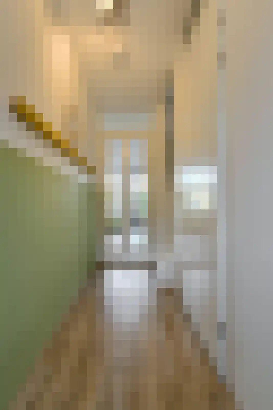Paulus Potterstraat 38 Raamsdonksveer thumbnail 27