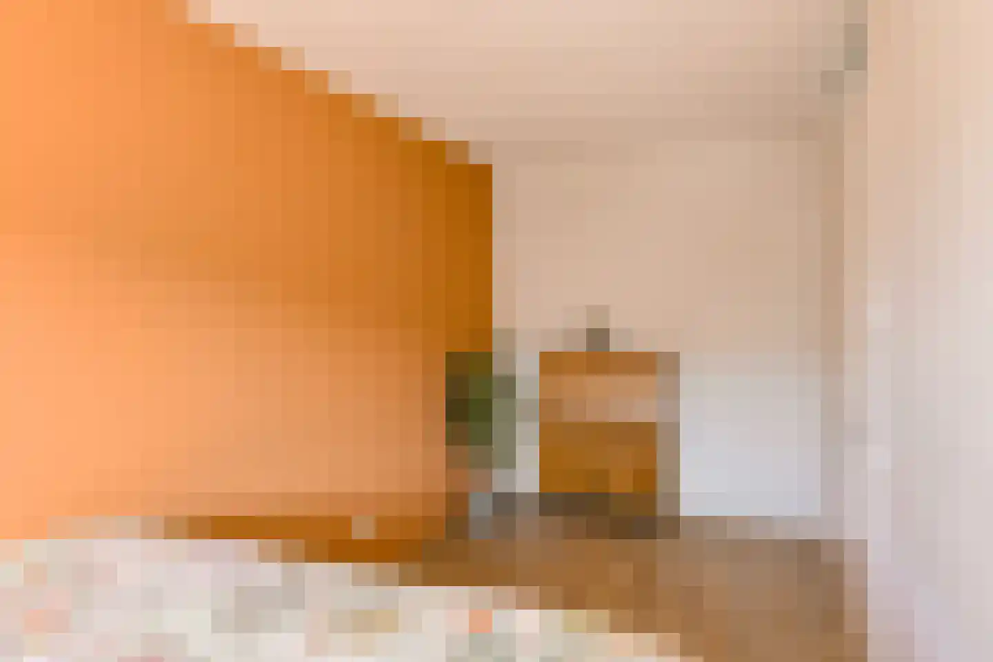 Paulus Potterstraat 38 Raamsdonksveer thumbnail 32