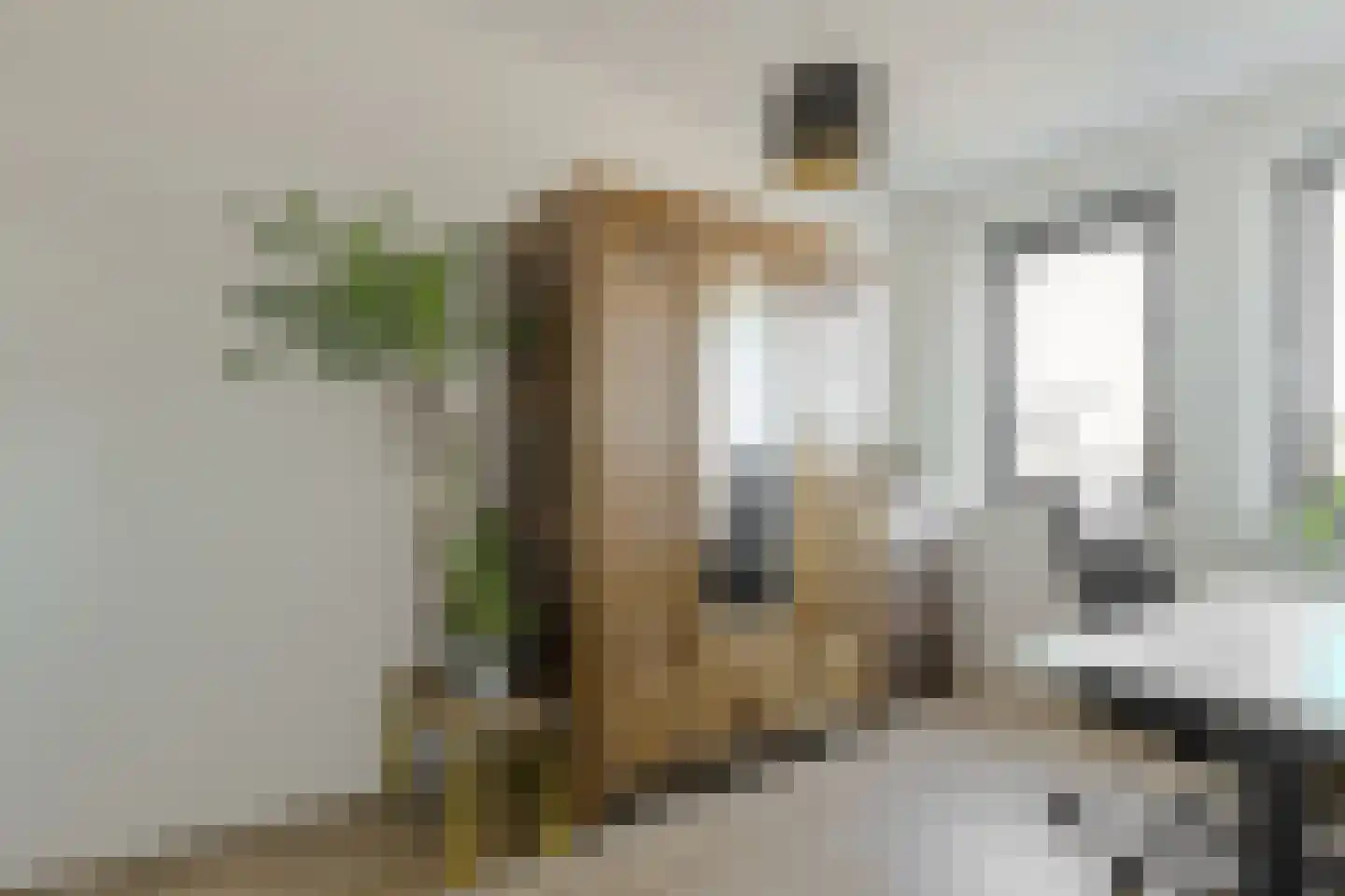 Paulus Potterstraat 38 Raamsdonksveer thumbnail 37